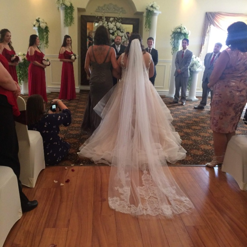 David’s Bridal Veil